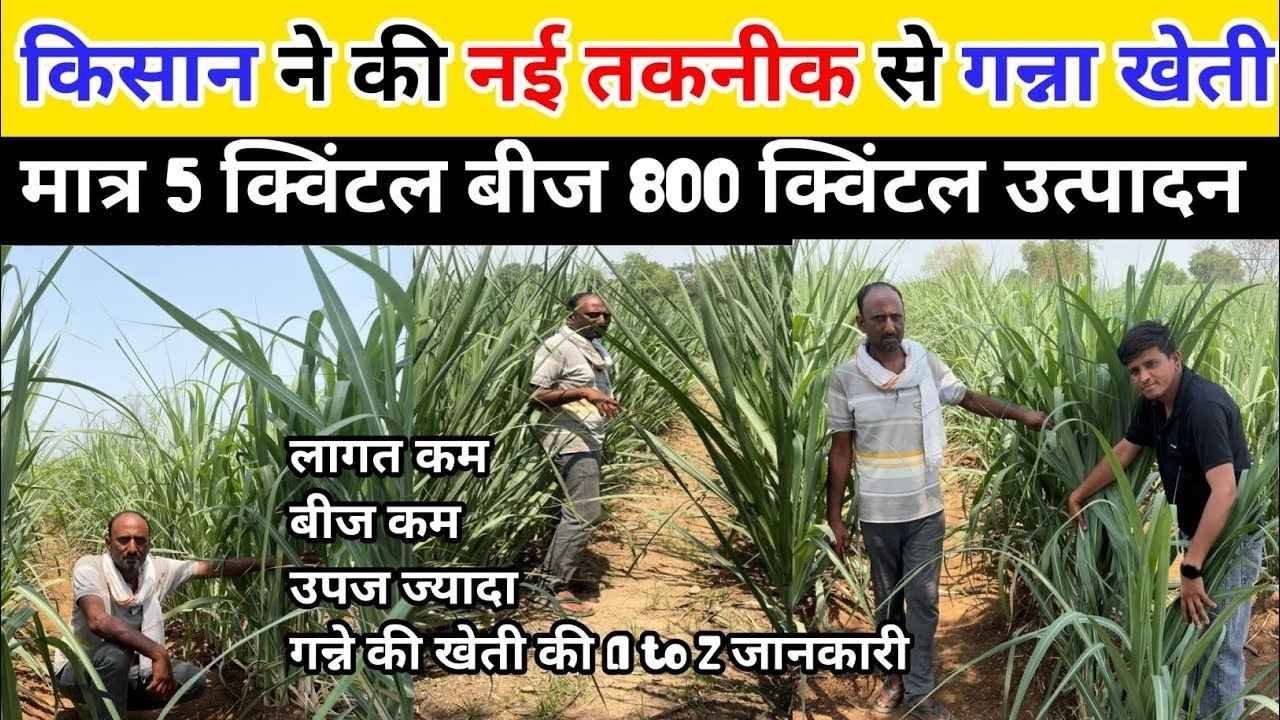 किसान ने की नई तकनीक से गन्ना की खेती