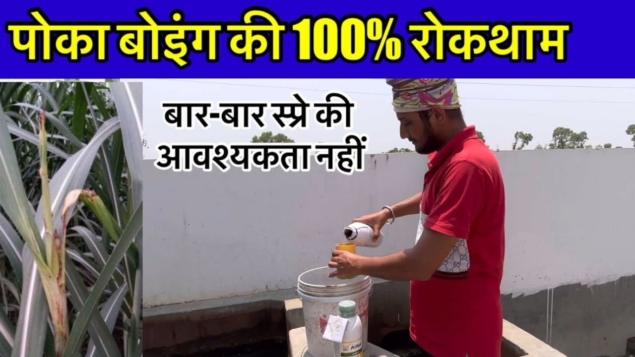 गन्ने के दाम से लेकर भुगतान, Ethanol से लेकर चीनी मिलों