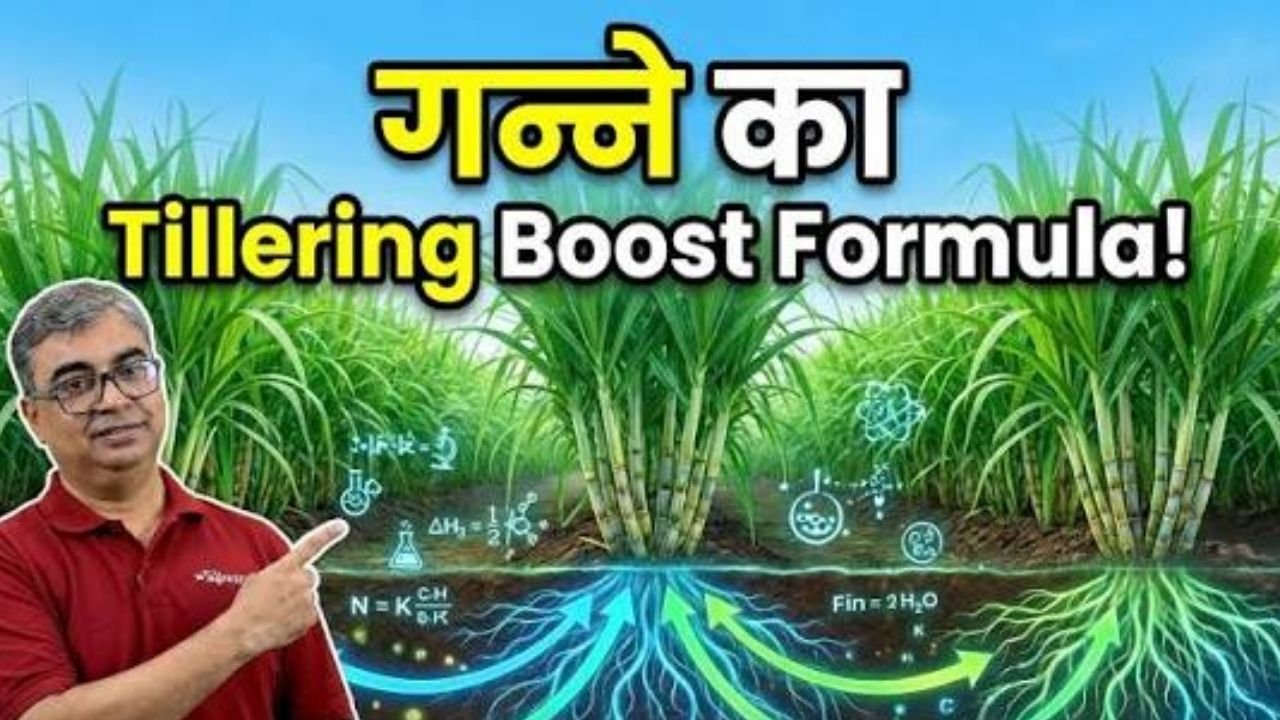 पैदावार 100% तक बढ़ाएँ!