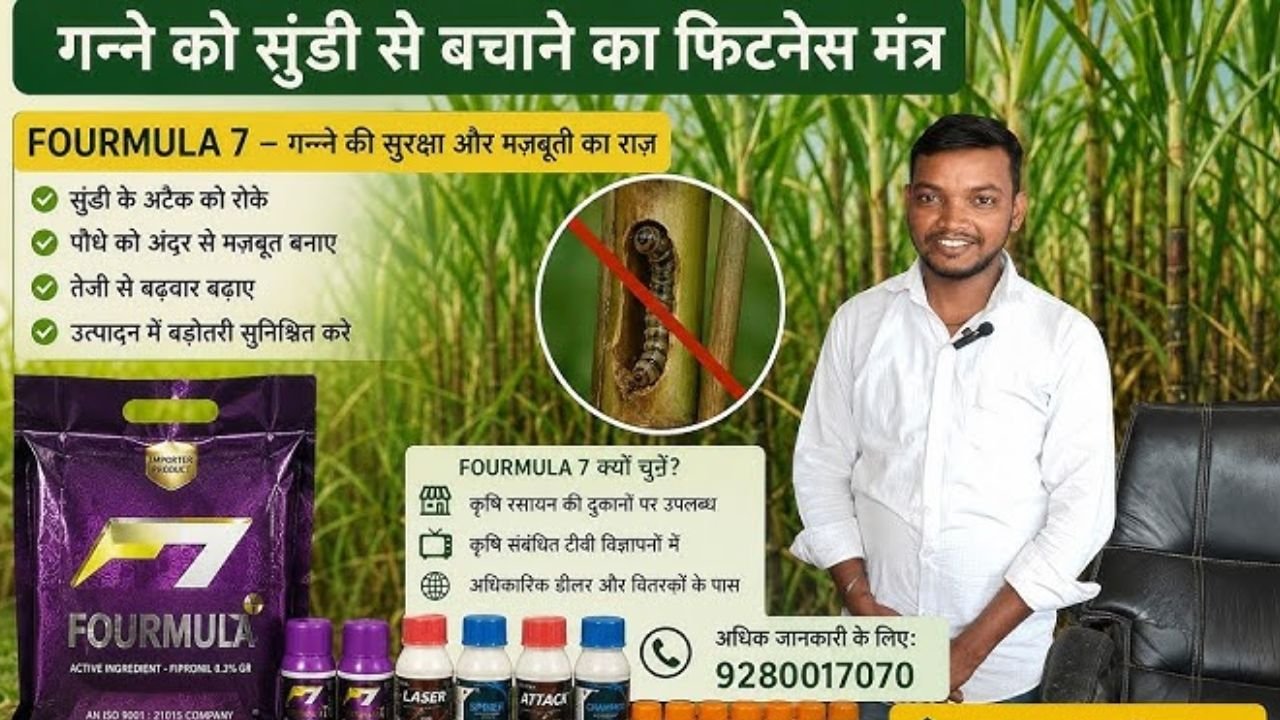 गन्ने को सुंडी से बचाने फिटनेस मंत्र।