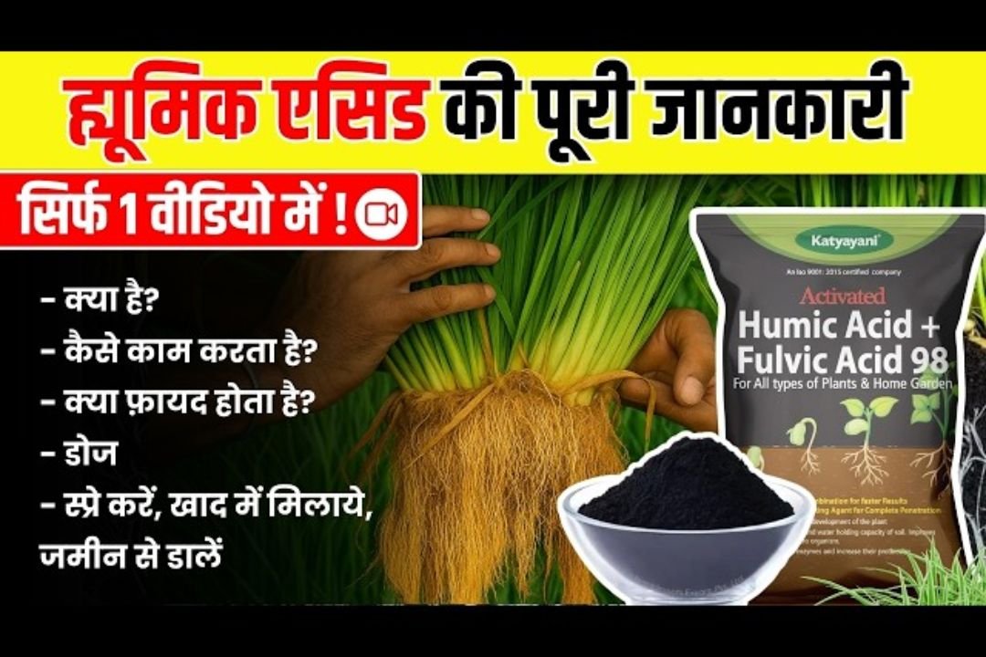 घर पर Humic Acid जैसा Organic Tonic कैसे बनाएं? 🌱 Viral