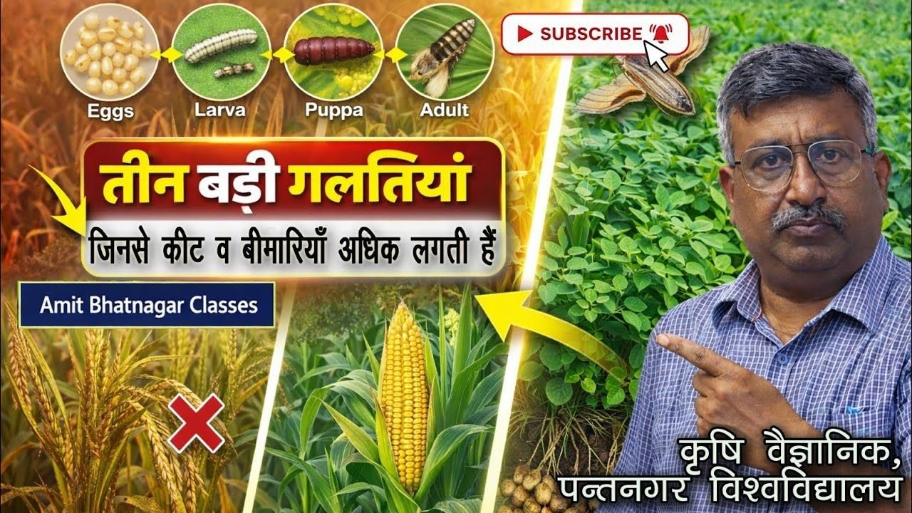 कीट व बीमारियाँ ज्यादा आने के 3 बड़े कारण । ये गलतियाँ न करें।