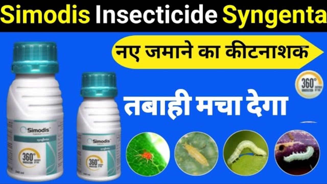 Syngenta Simodis Insecticide की असली सच्चाई ⚠️ | Dose, Price & Live Results | Simodis Review