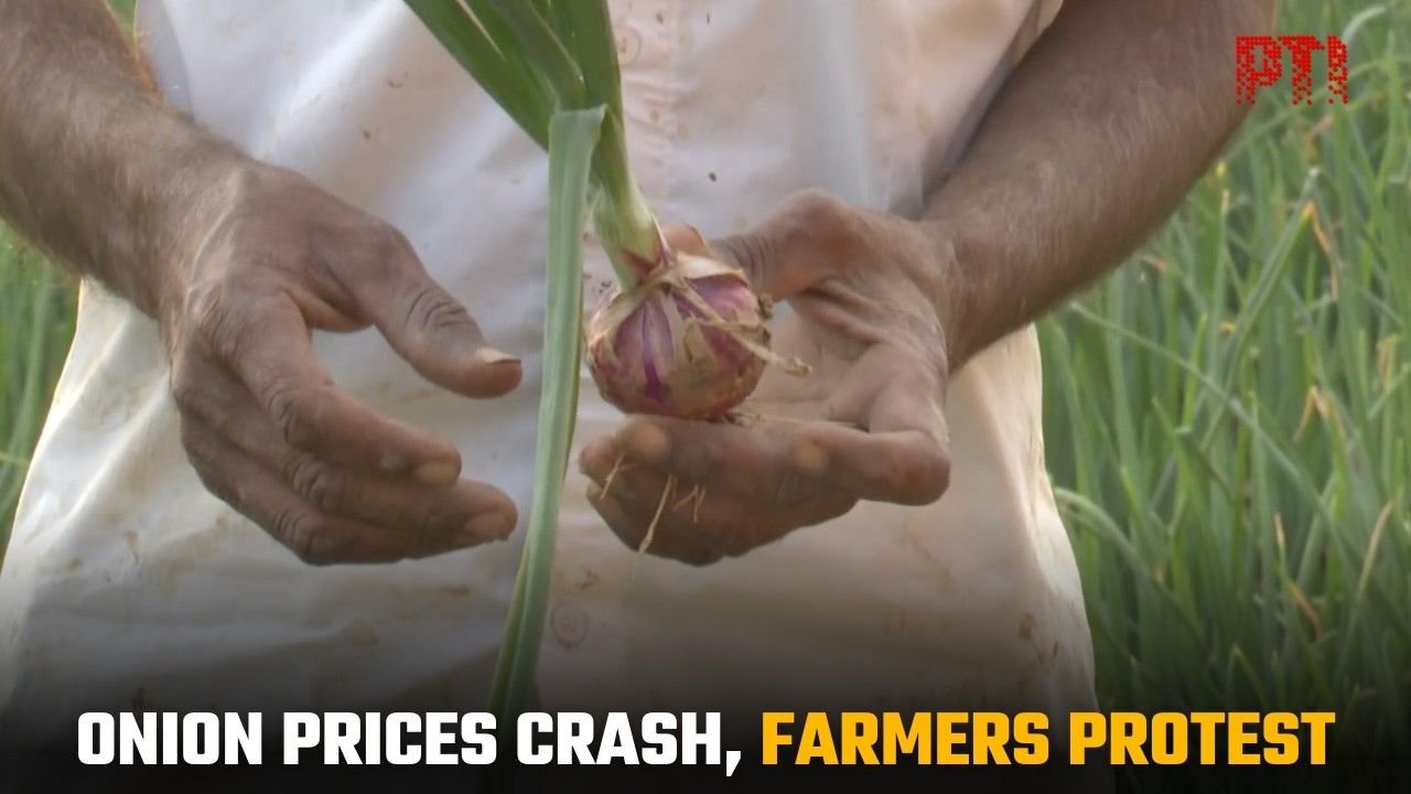 Promise Kept | Onion at 5000 Rs. per Quintal!