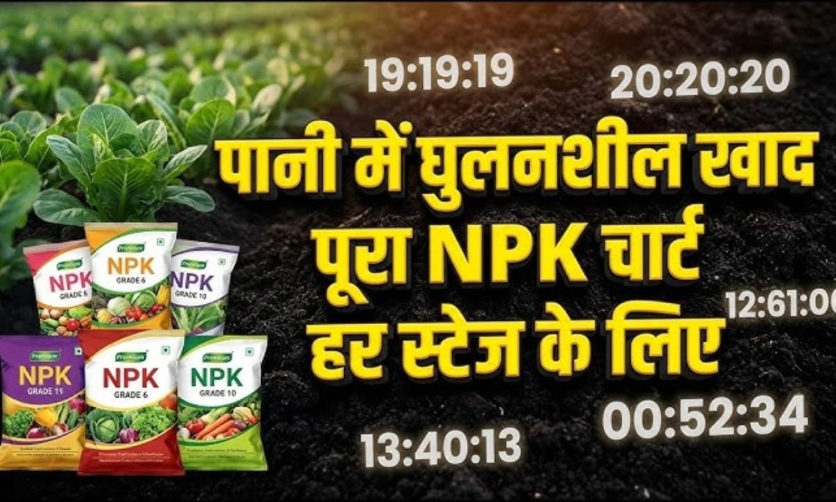 वाटर सॉल्युबल फर्टिलाइजर (NPK) का पूरा कोर्स | किस फसल में कौन सा खाद