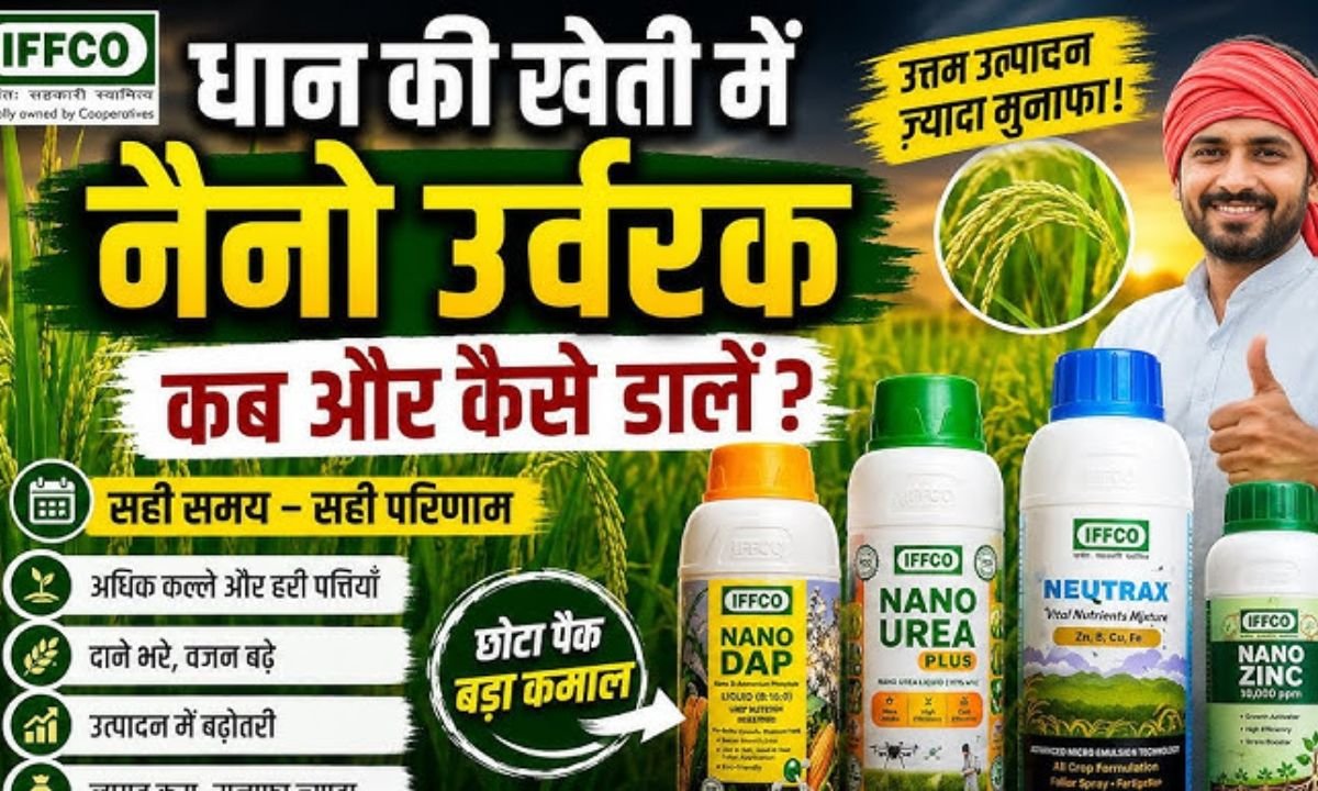 नैनो यूरिया, नैनो डीएपी, जिंक से अधिक लाभ कैसे लें। नैनो यूरिया डीएपी नैनो जिंक प्रयोग की सही विधि।