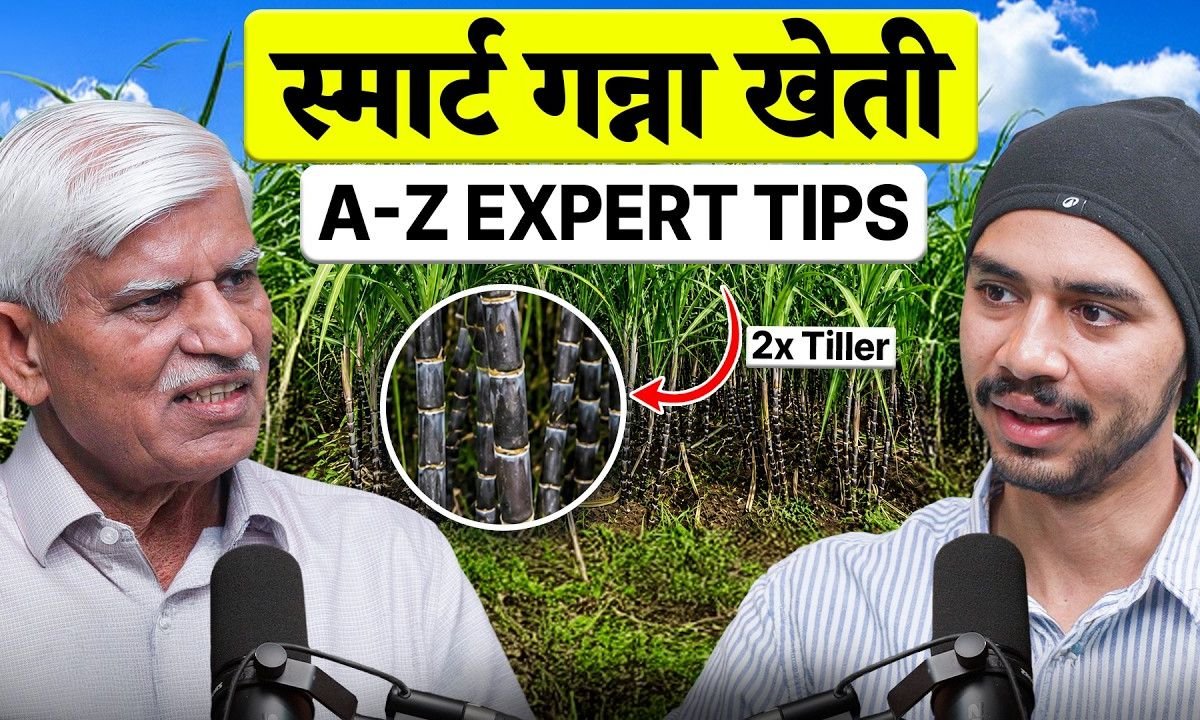 Ganna Ki Kheti: Padmashree Bakshiram ke 20+ Expert Tips | CO0238 Variety