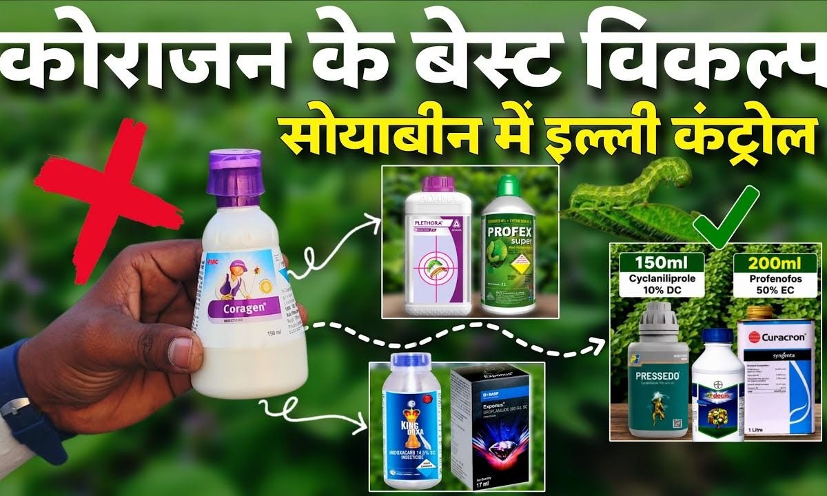 🌱सोयाबीन में तंबाकू इल्ली, फली छेदक और सेमीलूपर का खात्मा💧कोरोजन काम न करे तो क्या करें? CTPR 18.5%