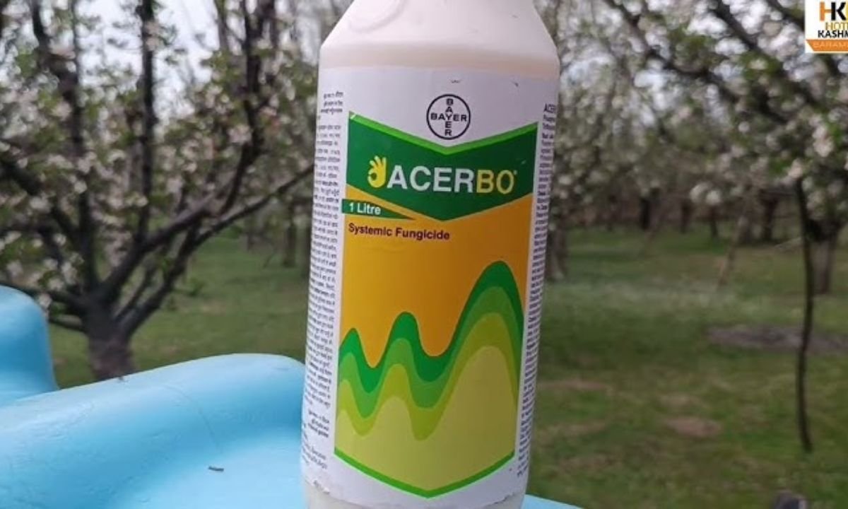 Bayer acerbo fungicide full review one of the best fungicide सोयबीन की खेती के लिए