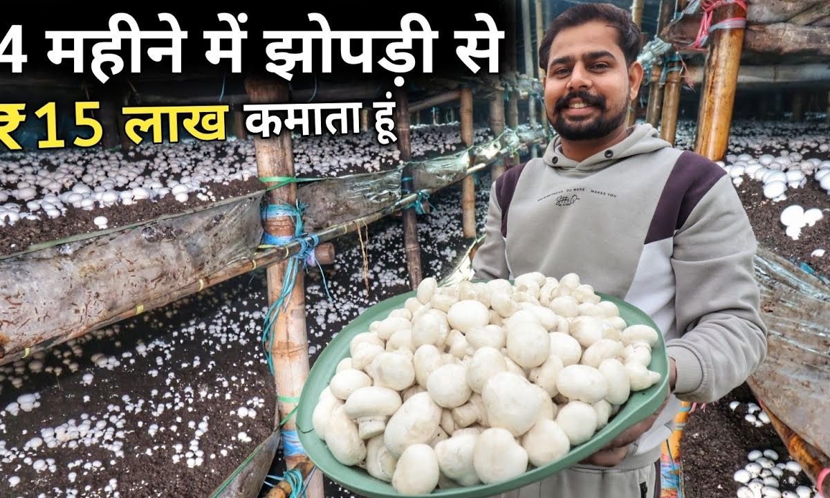 मशरूम की खेती कैसे होती है | Mushroom Farming