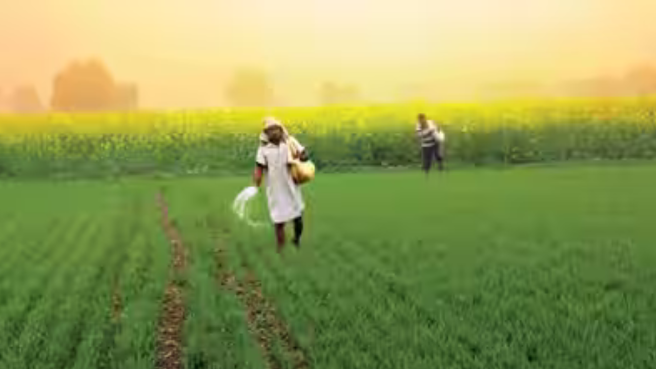 ATMA Scheme Update: किसानों को सिखाई गई नई कृषि तकनीक, खेती से आय बढ़ाने की पहल