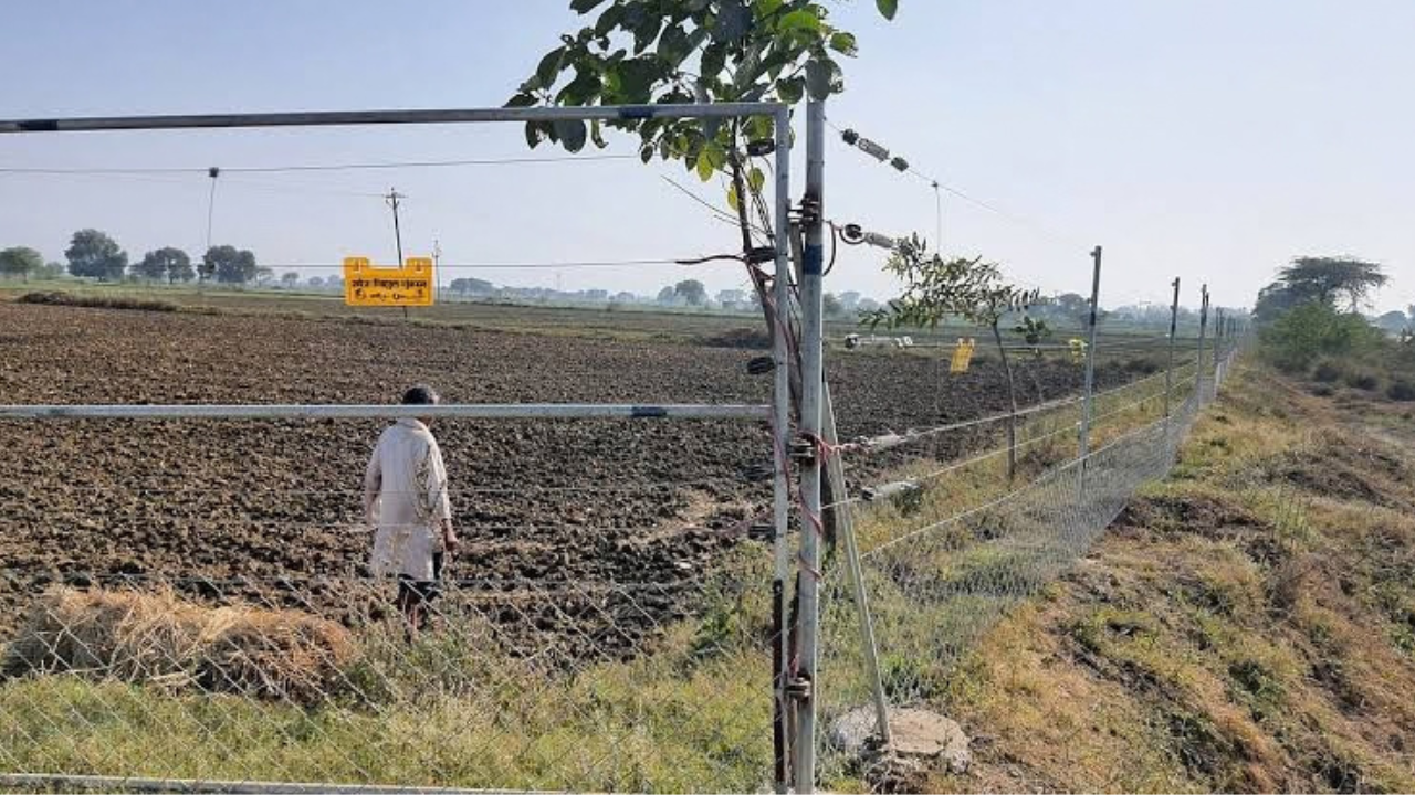 कृषि कार्यालय की हालत खराब, दीवार और छत टूटने से कर्मचारियों पर मंडरा रहा खतरा