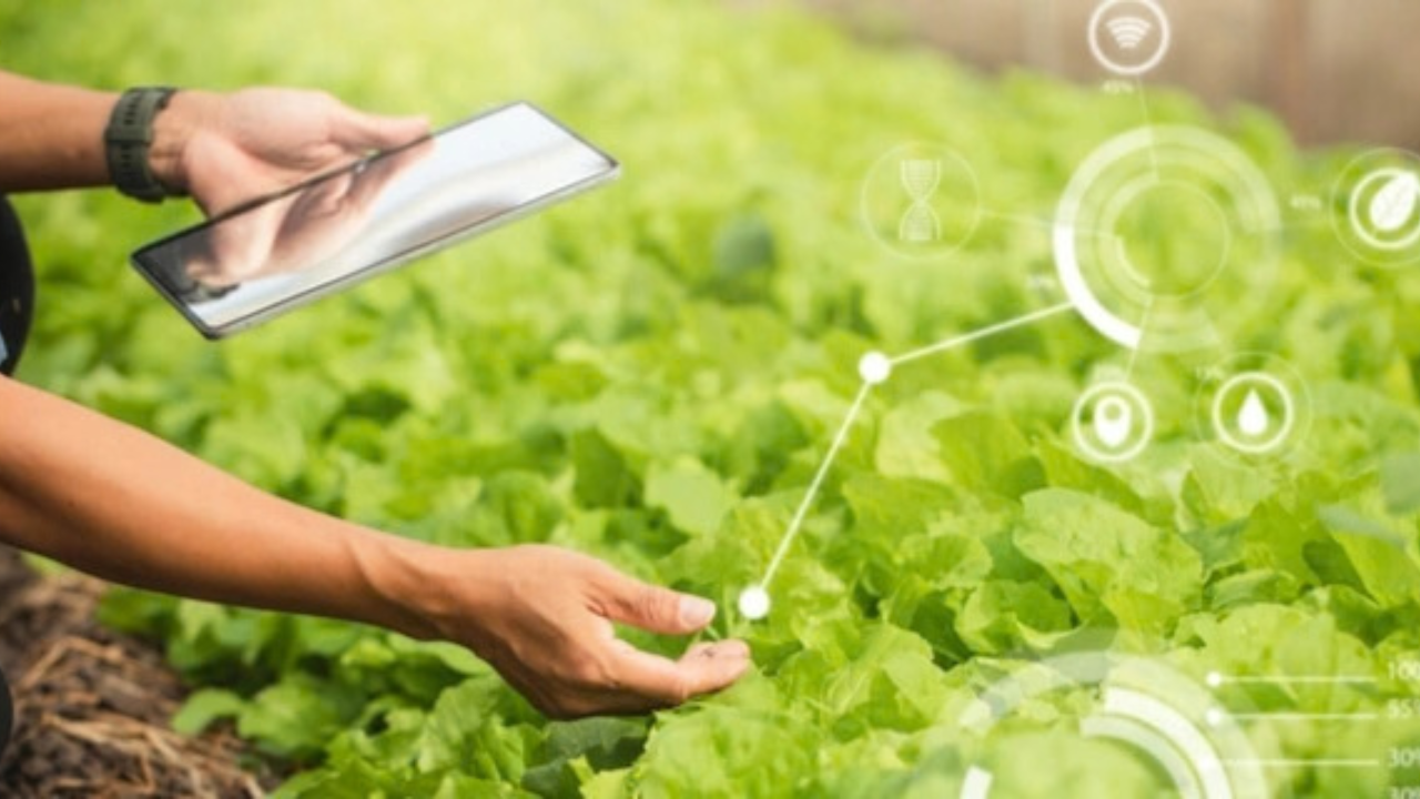 किसानों के लिए Agriculture Technology Session, खाद-बीज समेत कृषि आदानों की गुणवत्ता पर मिली जानकारी