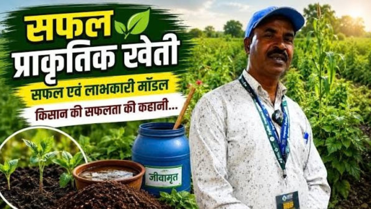 कृषि सखियों के लिए Natural Farming Training शुरू, 5 दिन में सीखेंगी खेती की नई तकनीक