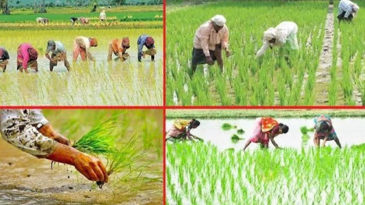 कृषि विभाग के दफ्तर पर लगा ताला, काम कराने पहुंचे किसान घंटों करते रहे इंतजार