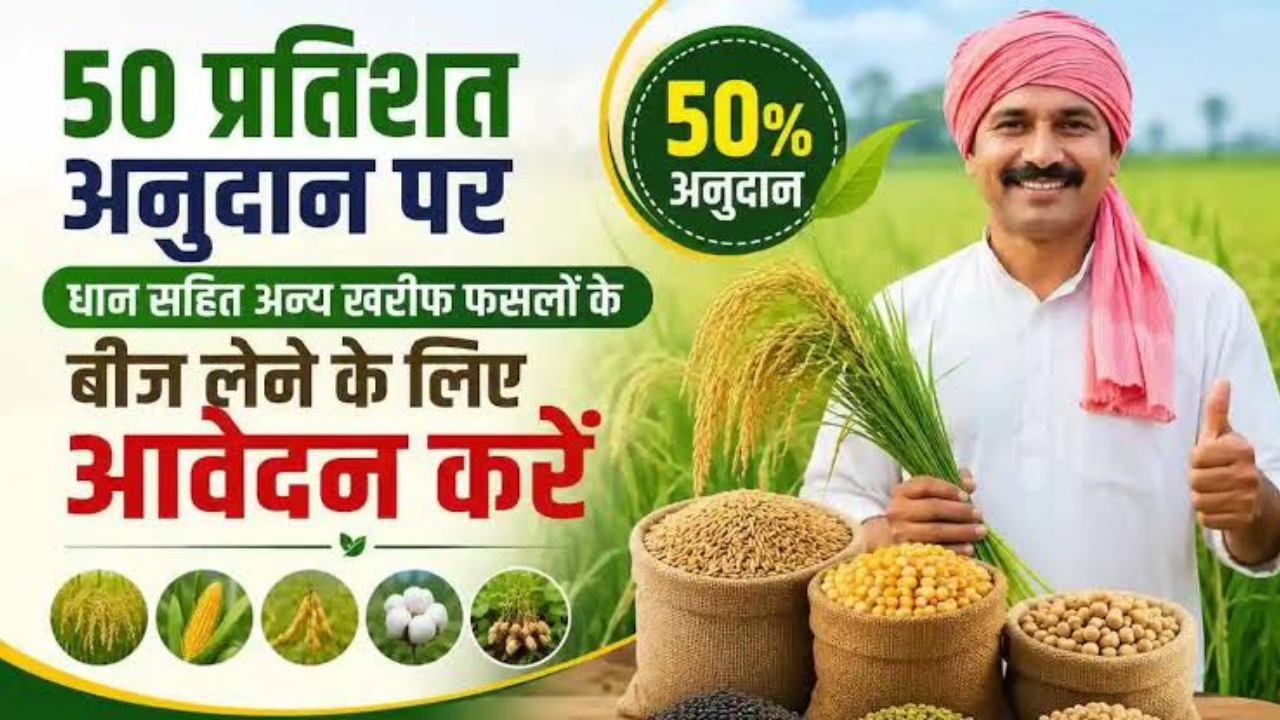 Seed Subsidy Update: 50% सब्सिडी पर उन्नत बीज पाने का मौका, 30 सितंबर तक करें बुकिंग