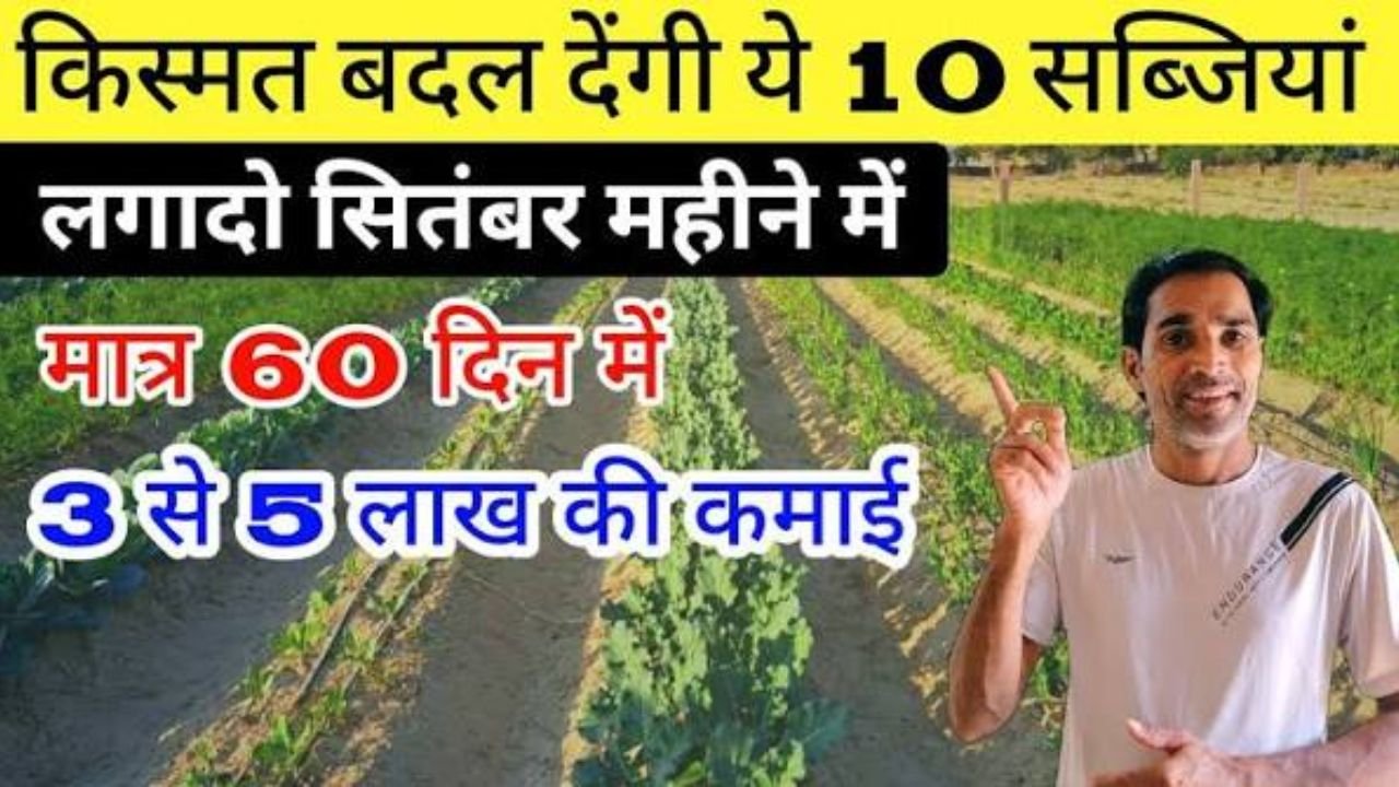 सितंबर में लगाएं ये सब्जियां और पाएँ भरपूर फसल | Vegetables to Plant in September for a Big Harvest