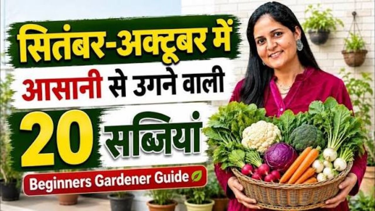 ⭐ सितंबर-अक्टूबर में जरूर लगाएं ये 20 सब्जियां! 🌱 | Winter Vegetable Garden | Beginners Guide